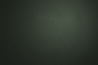 Hintergrund der Portraitbilder